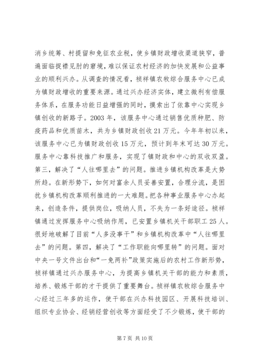 关于×镇农牧综合服务中心建设有关情况的调查 (11).docx