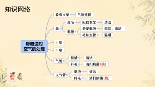 初中生物学人教版（新课程标准）七年级下册4.3.1呼吸道对空气的处理课件(共16张PPT)