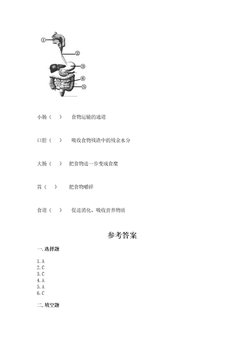 教科版小学四年级上册科学期末测试卷带答案（满分必刷）