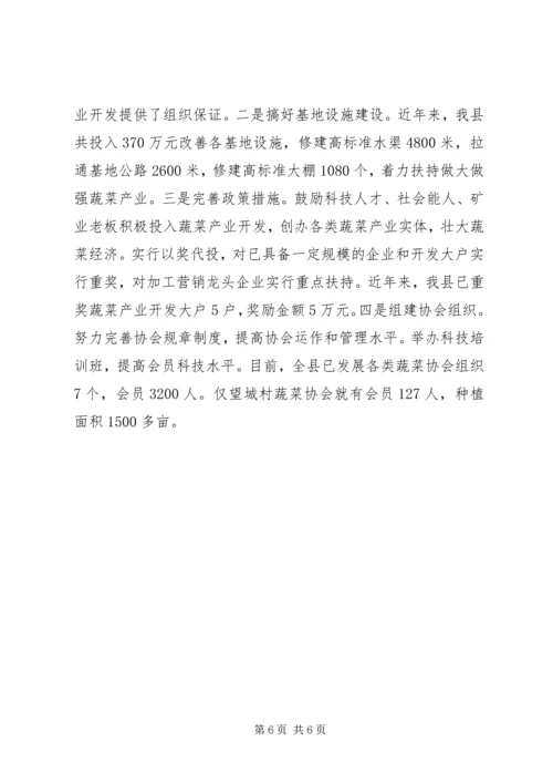 做强蔬菜产业　壮大农业经济 (3).docx