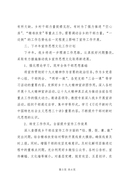 乡镇某年上半年宣传思想文化工作总结及计划.docx