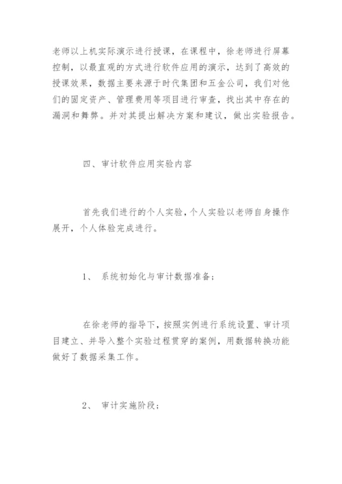 实验的审计报告.docx