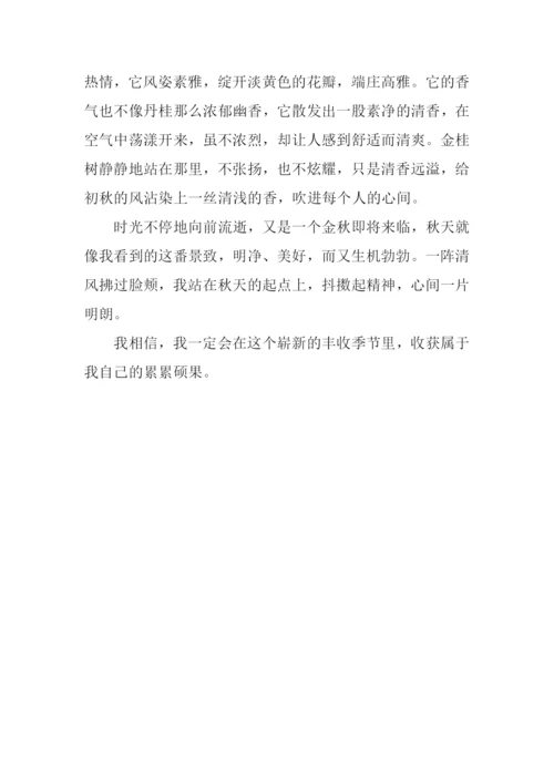 寻找初秋的踪迹作文700字.docx