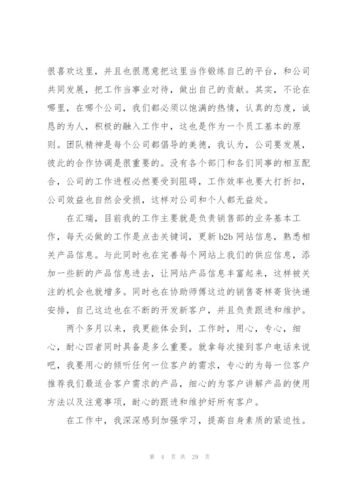 业务员试用期工作总结10篇.docx
