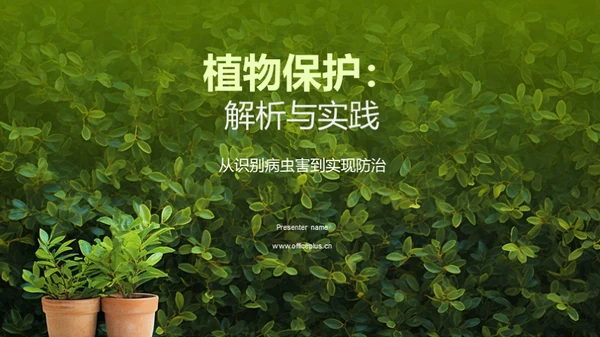 植物保护：解析与实践