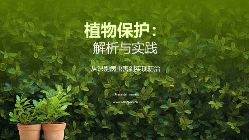 植物保护：解析与实践