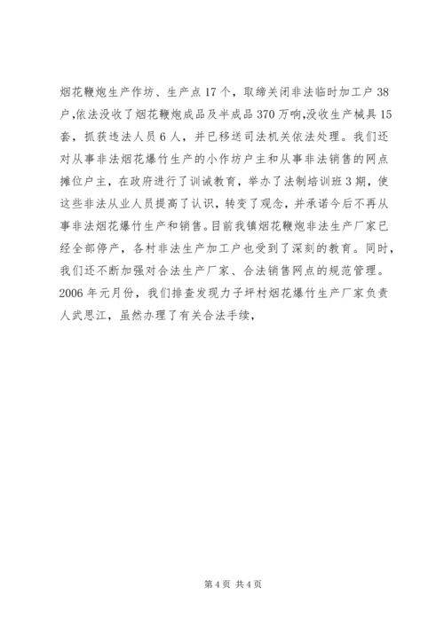 开展烟花爆竹专项检查情况的汇报 (5).docx