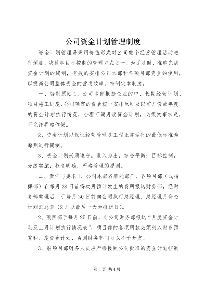 公司资金计划管理制度.docx