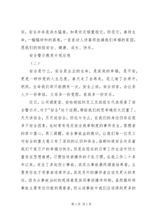 安全警示教育片观后感 (4).docx