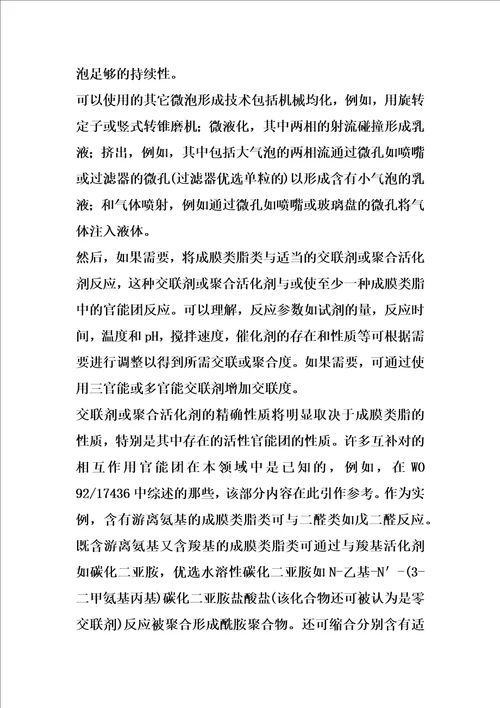 造影剂的改进的制作方法