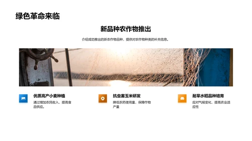 农业项目进展与展望