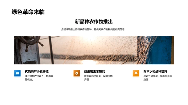 农业项目进展与展望