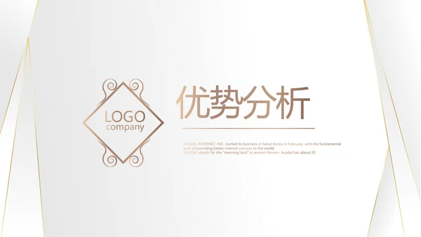 高端极简品牌策划工作总结汇报PPT
