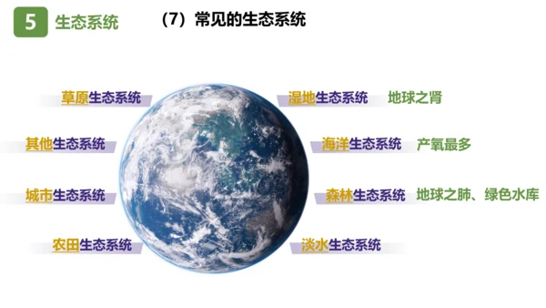 七上第一单元 生物和生物圈复习课件(共26张PPT)