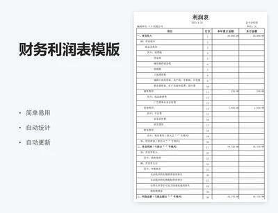财务利润表模版