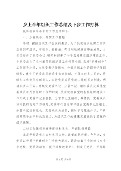 乡上半年组织工作总结及下步工作打算.docx