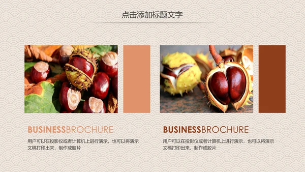 营养美食美味板栗种植宣传动态PPT模板
