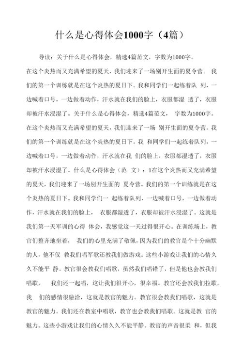 2022年什么是心得体会1000字(4篇).docx