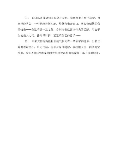 第七条猎狗好词好句摘抄