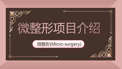 微整形项目介绍工作总结汇报动态PPT