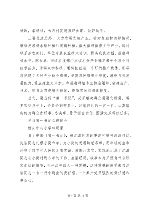 学习第一书记心得体会 (4).docx