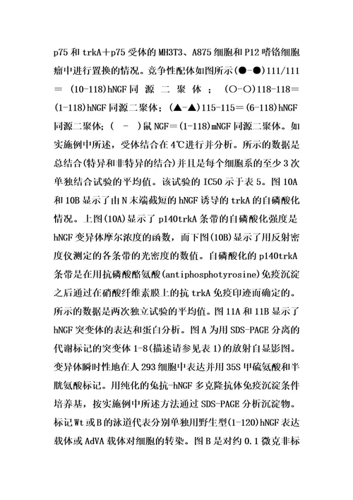 泛向神经营养因子的制作方法