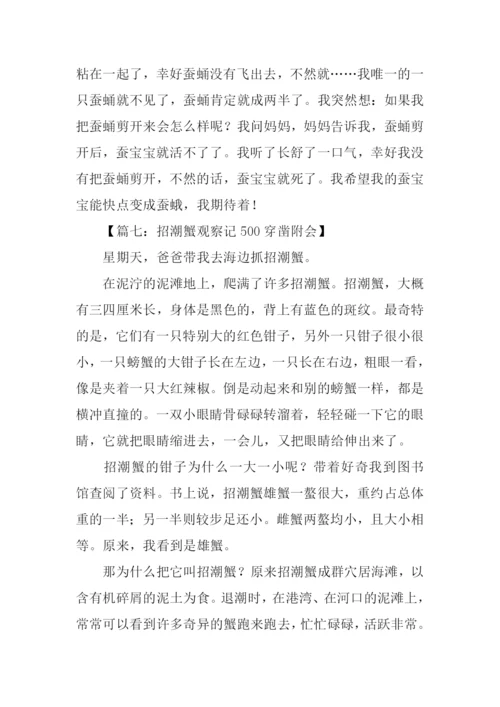 四年级观察动物作文.docx