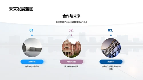 星海房产发展蓝图