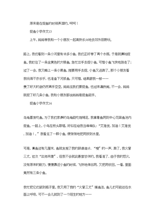 捉鱼小学作文精选15篇