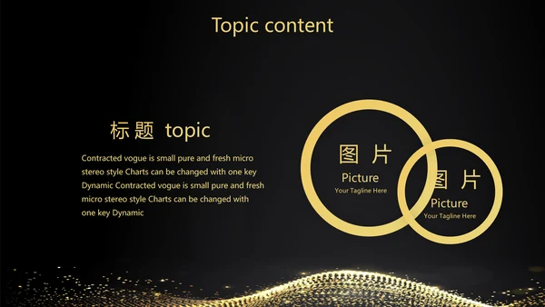 黑色霸气金融投资理财行业通用PPT动态模板
