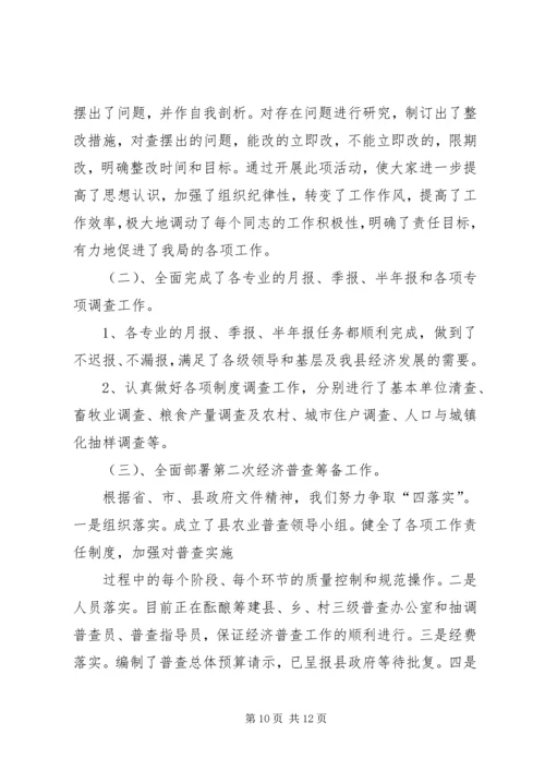 统计局上半年工作总结下半年工作安排.docx