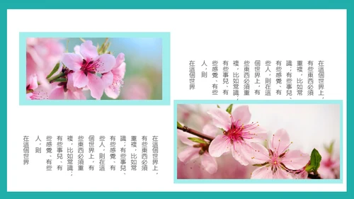 泛舟湖上通用PPT模板