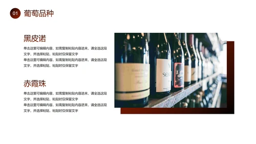 实景红酒商务商业公司产品画册PPT模板