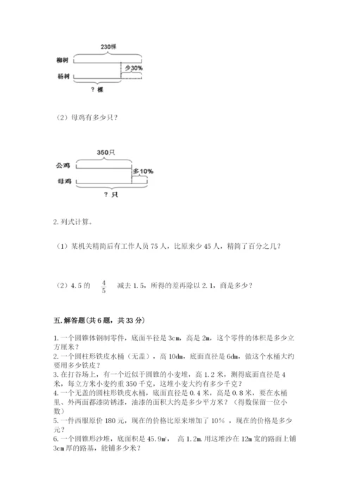 北京版六年级下册数学期中测试卷完美版.docx