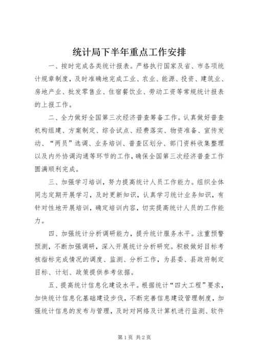 统计局下半年重点工作安排.docx