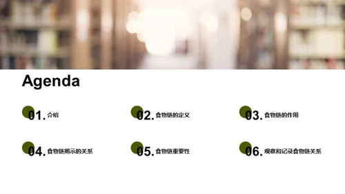 揭秘生态食物链