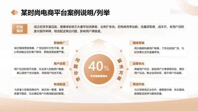 茶色商务风某时尚电商平台案例说明列举