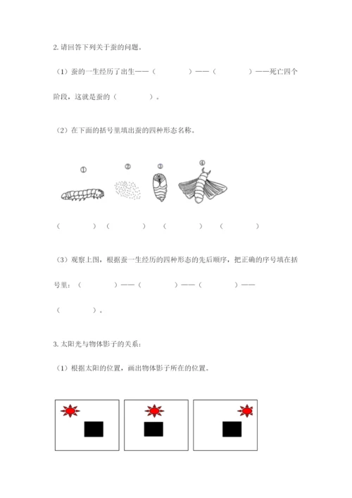 教科版小学科学三年级下册期末测试卷附完整答案【夺冠系列】.docx