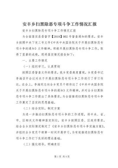 安丰乡扫黑除恶专项斗争工作情况汇报 (3).docx