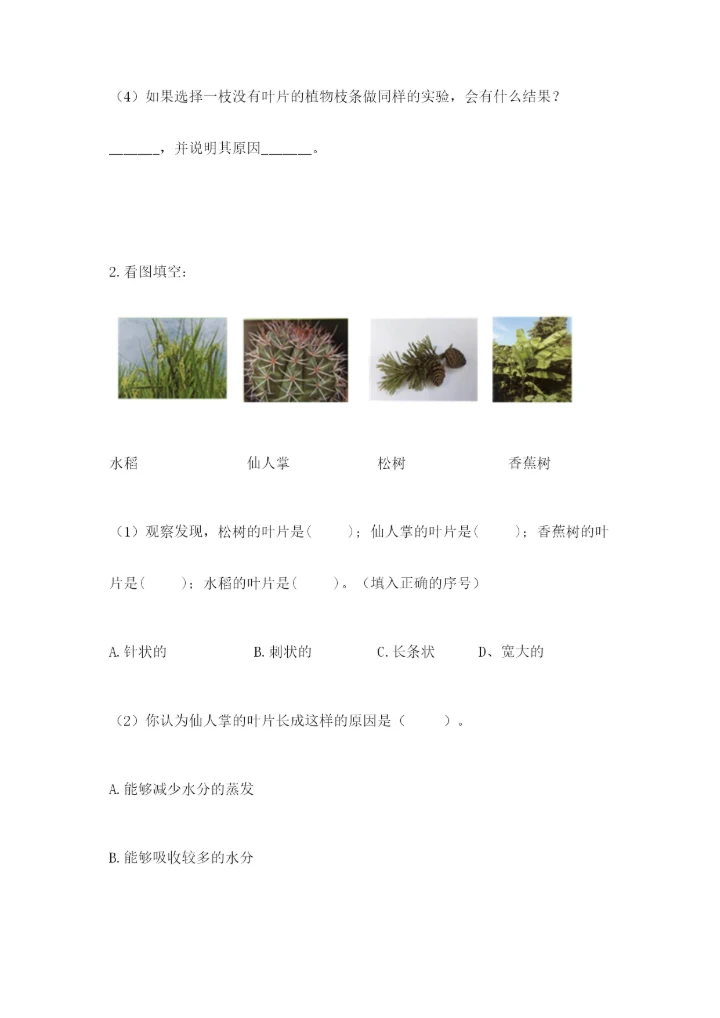 科学四年级下册第一单元植物的生长变化测试卷精品（能力提升）.docx