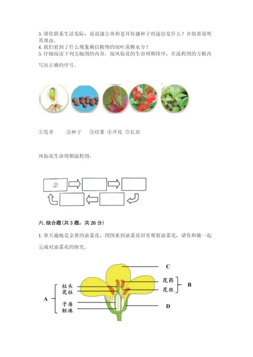 科学四年级下册第一单元《植物的生长变化》测试卷及完整答案（易错题）.docx