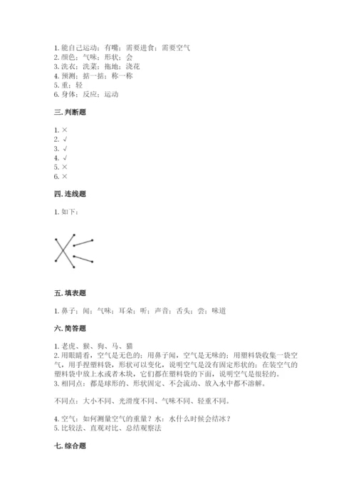 教科版一年级下册科学期末测试卷附参考答案【基础题】.docx