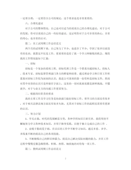 精编之试用期工作总结写法及范文.docx