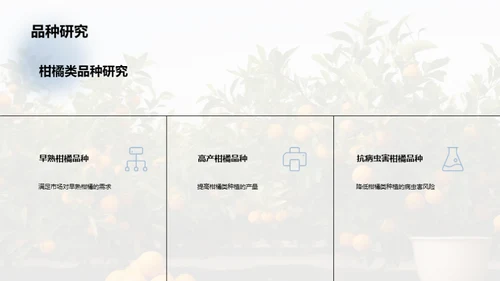 柑橘产业：未来之路