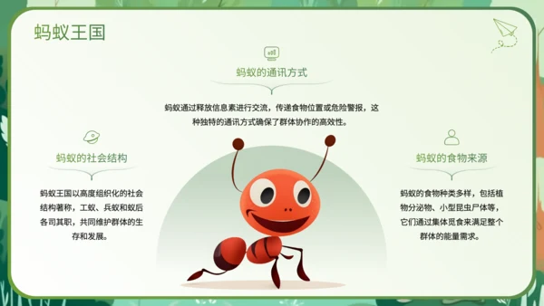 绿色插画风科普知识动物PPT