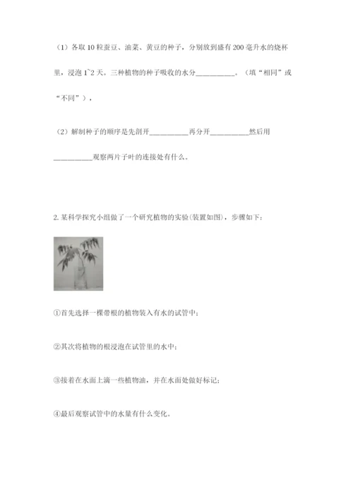 科学四年级下册第一单元植物的生长变化测试卷（典优）.docx