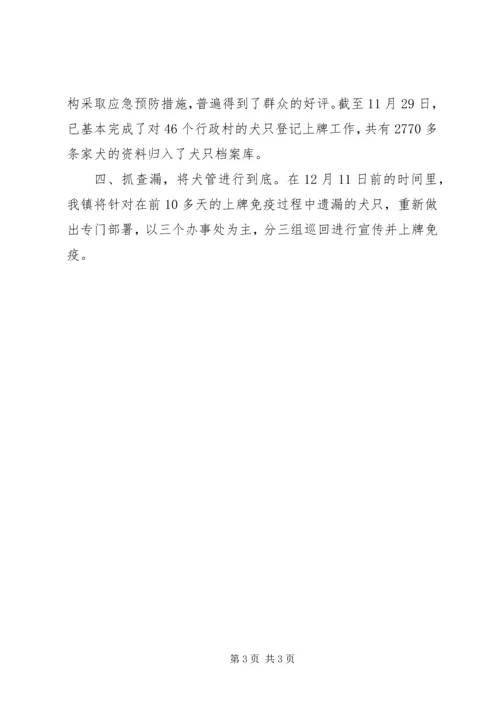 犬只管理汇报材料 (5).docx