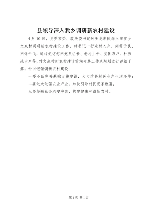 县领导深入我乡调研新农村建设.docx