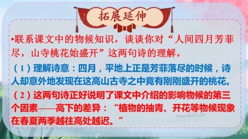 5《大自然的语言》课件
