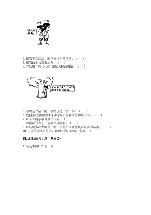 教科版一年级上册科学期末测试卷附完整答案精品